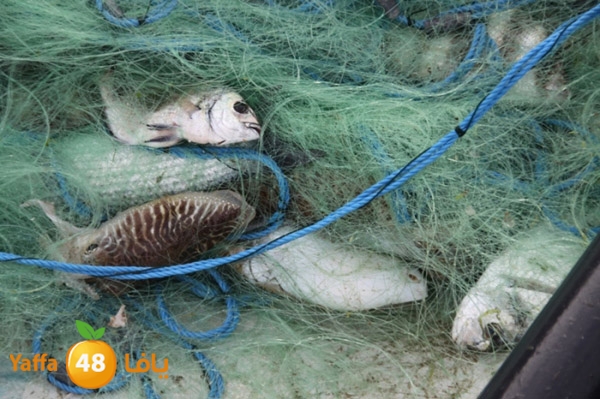 sayyadnewyaffa3 (40).JPG